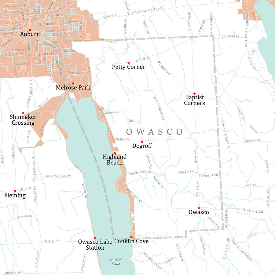 NY Cayuga Owasco Vector Road Map Digital Art by Frank Ramspott