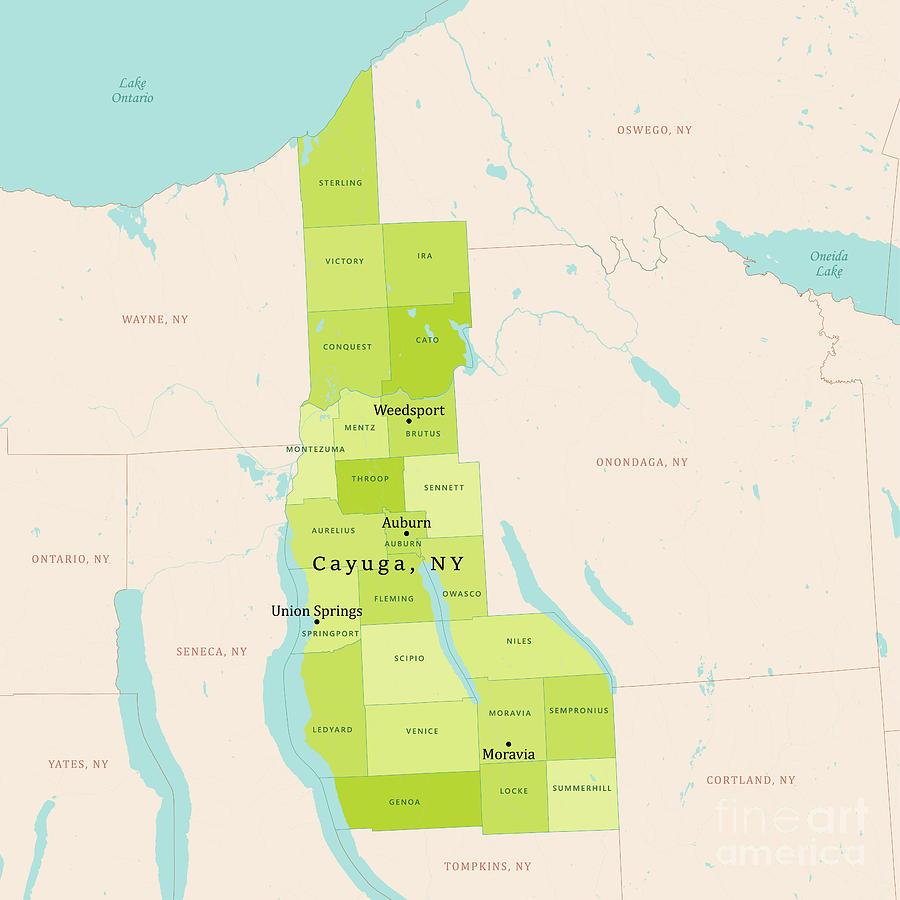Ny Cayuga Vector Map Green Frank Ramspott 