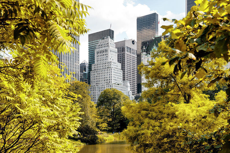 NY CITY - Between the Trees Photograph by Philippe HUGONNARD