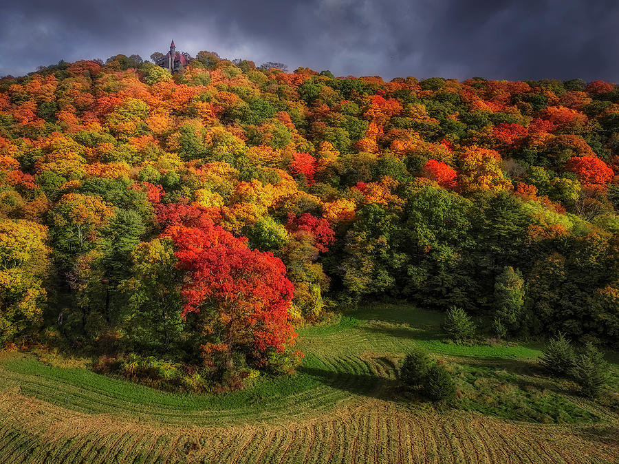NY Fall Foliage Photograph by Susan Candelario