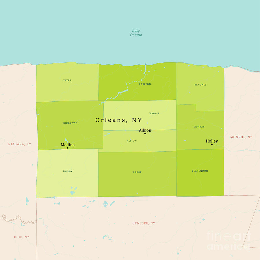 NY Orleans County Vector Map Green Digital Art by Frank Ramspott Fine