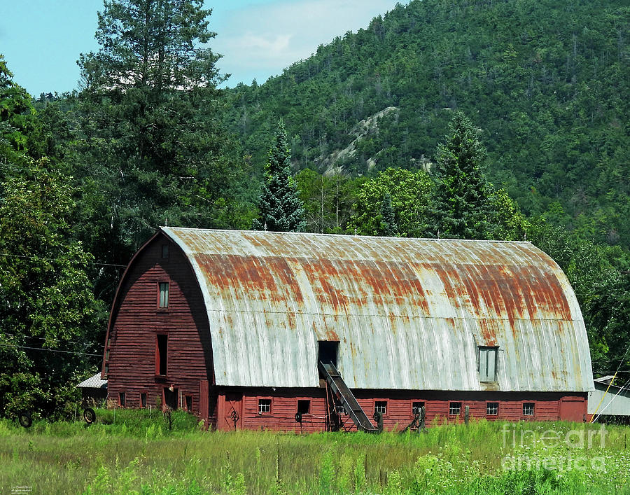 NY3 Big Red Barn   Photograph by Lizi Beard-Ward