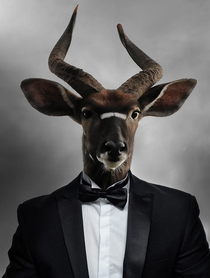 Nyala Antelope In Tuxedo Surreal Digital Art