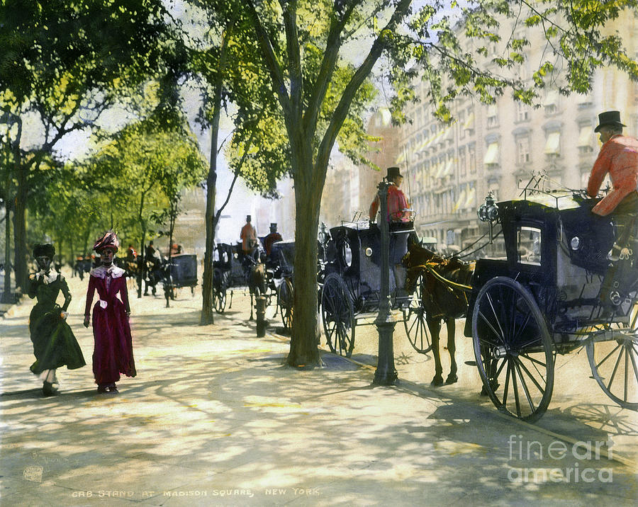 NYC Carriage Stand, c1900s Photograph by Granger