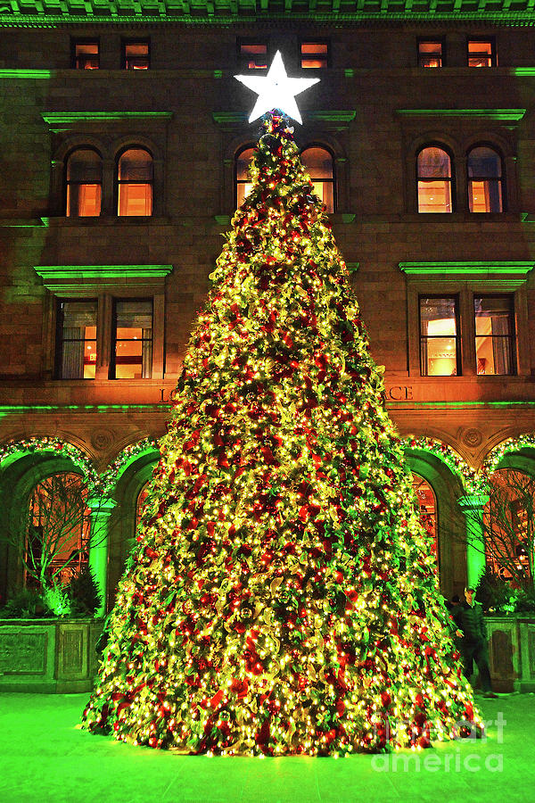 NYC Christmas Lotte Palace Tree Photograph by Regina Geoghan Fine Art