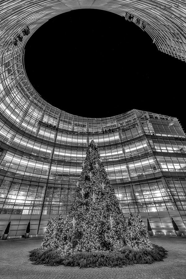 NYC Christmas Tree BW Photograph by Susan Candelario