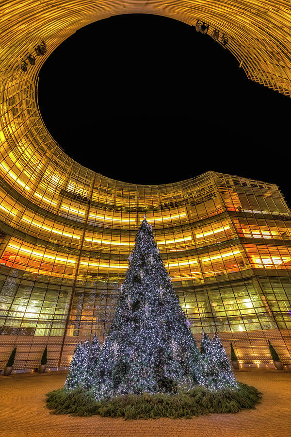 NYC Christmas Tree Photograph by Susan Candelario