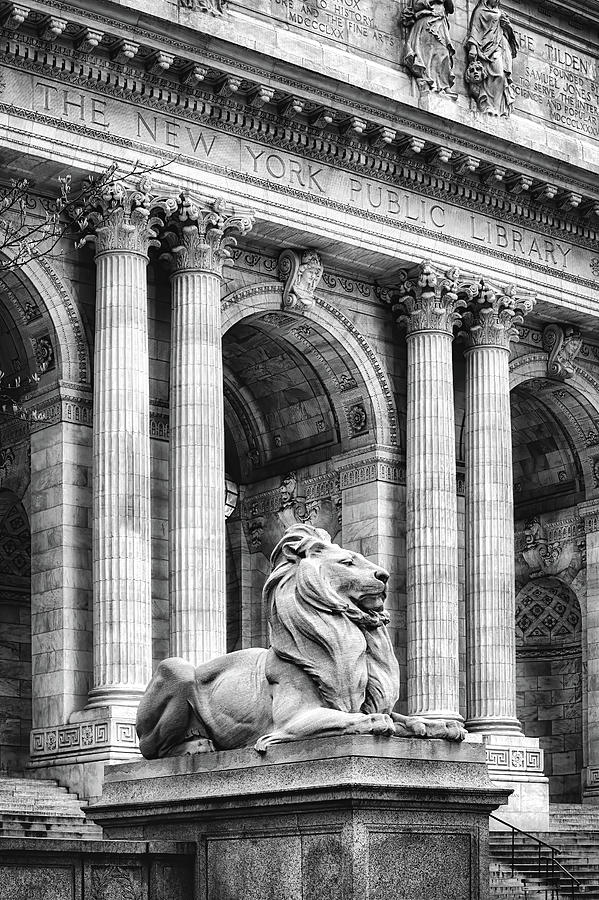 NYC Library Lion bw Photograph by Jerry Fornarotto