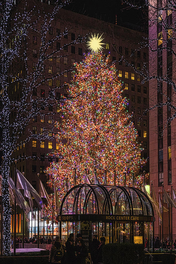 NYC Rock Center Christmas Tree Photograph by Susan Candelario - Fine ...