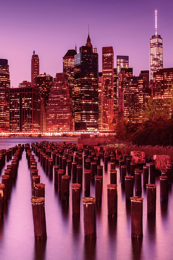 NYC skyline Photograph by Laura Fasulo