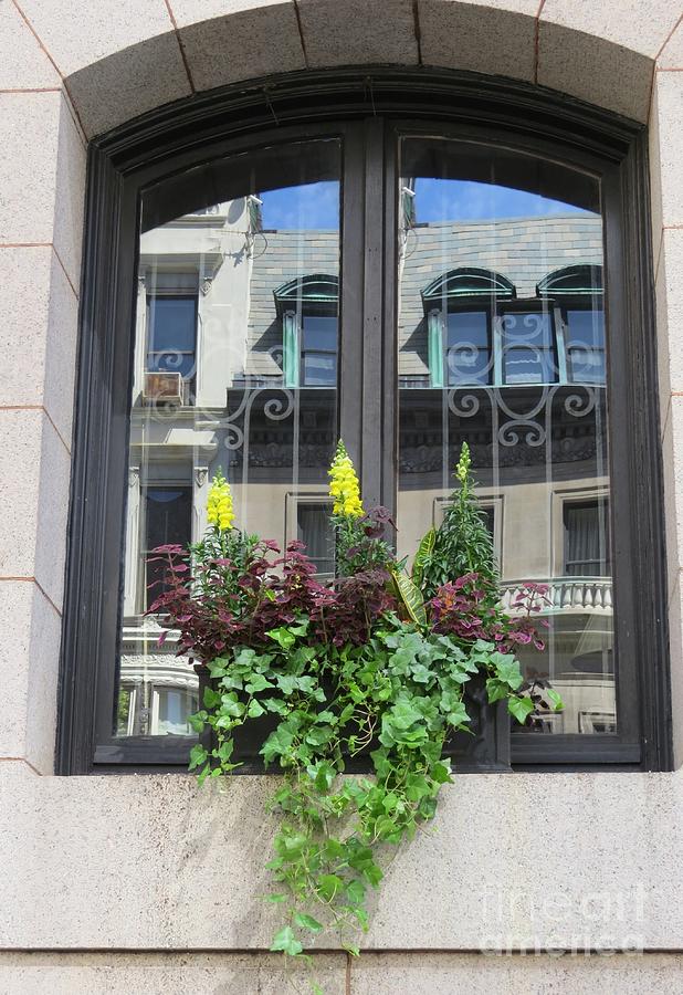 New York City Windows 1 Photograph by World Reflections By Sharon