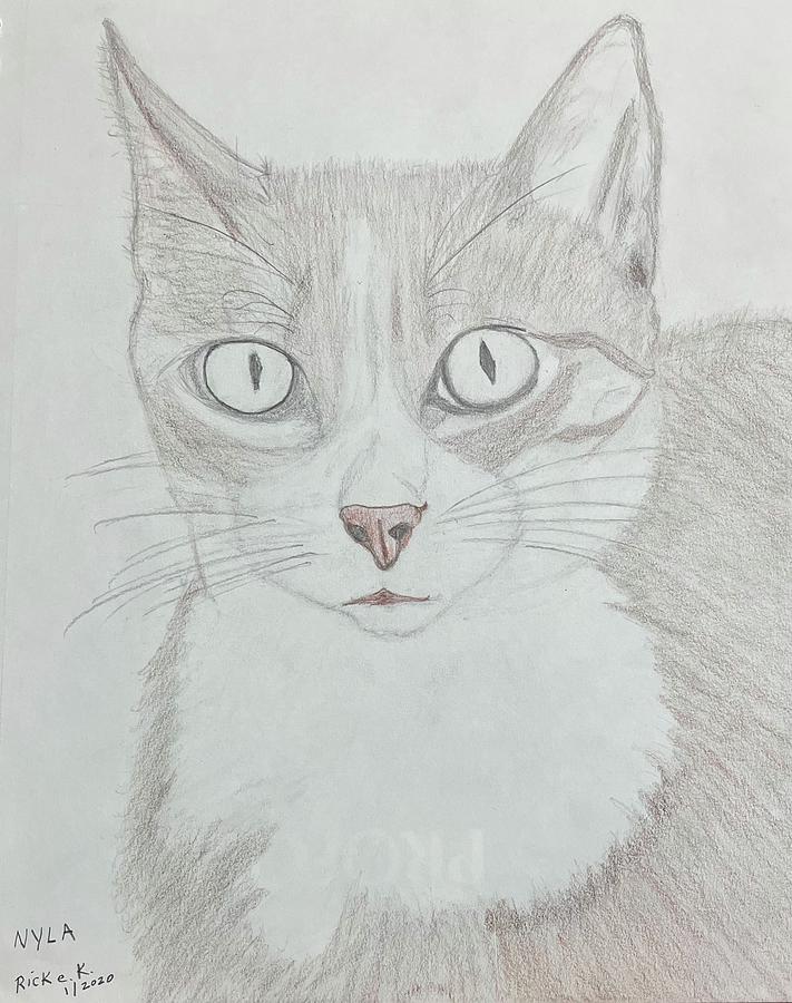 Nyla Drawing by Richard Kowalick Rick e K - Fine Art America