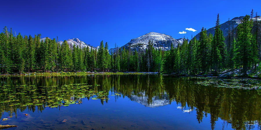 Nymph Lake, Estes Park Colorado #9001 Photograph by Bob Augsburg - Fine ...