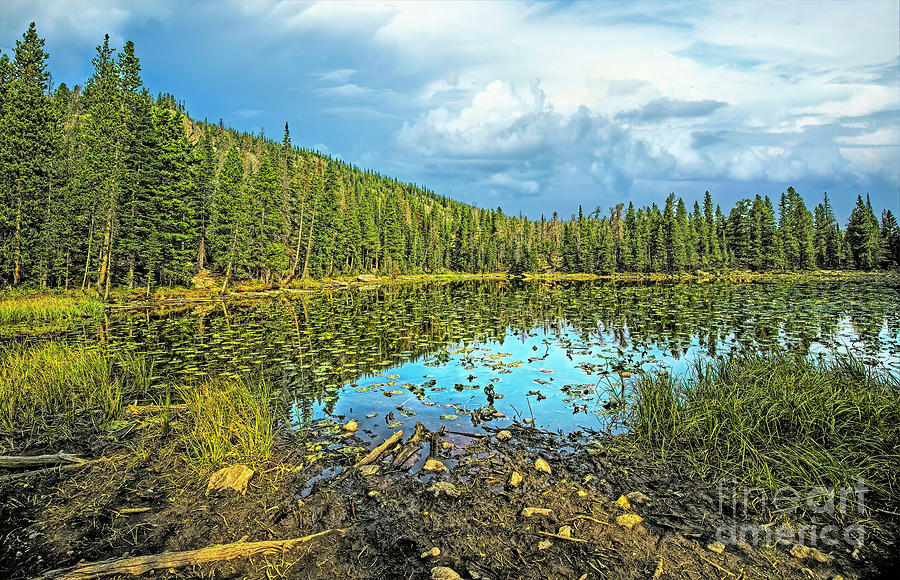 Nymph Lake Photograph by Jon Burch Photography