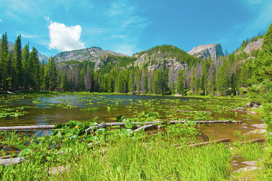Nymph Lake, Rocky Mountain National Park, Colorado, USA, North America Photograph by Tom Potter