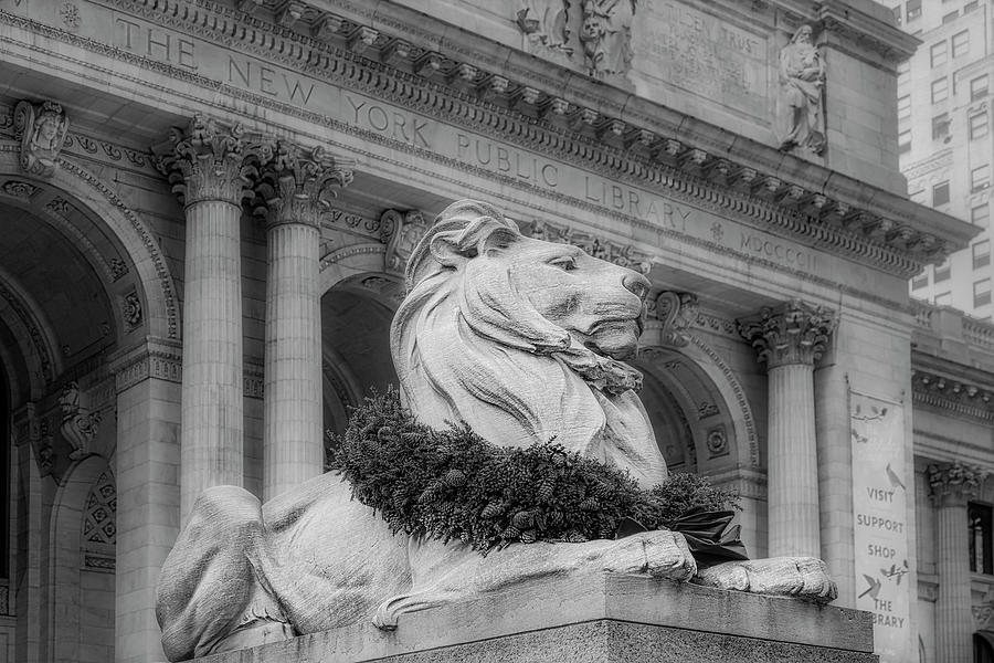 NYPL Patience Lion BW Photograph by Susan Candelario
