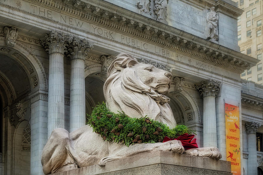 NYPL Patience Lion  Photograph by Susan Candelario