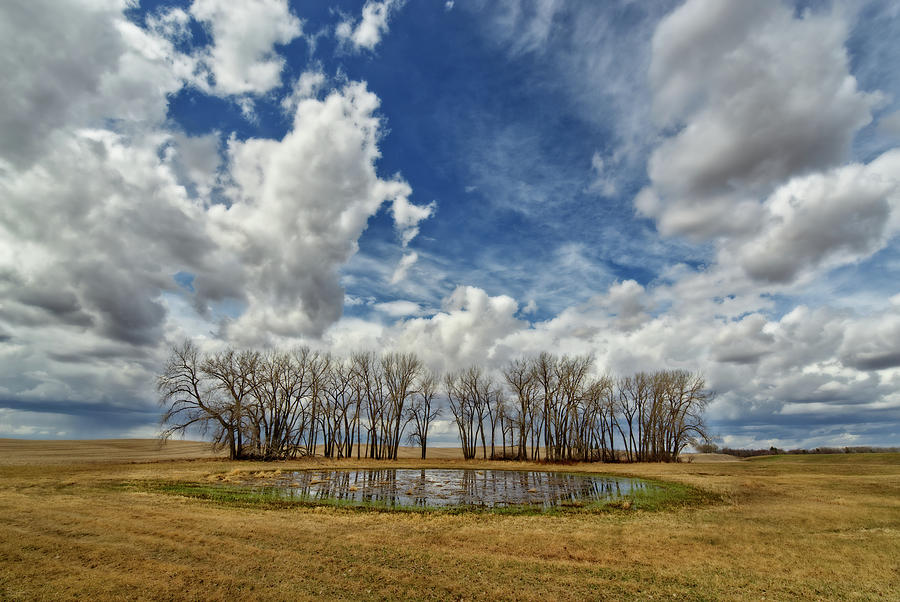 O Beautiful for Spacious Skies -  Rural ND spring scene with pond, trees, and sweeping sky Photograph by Peter Herman