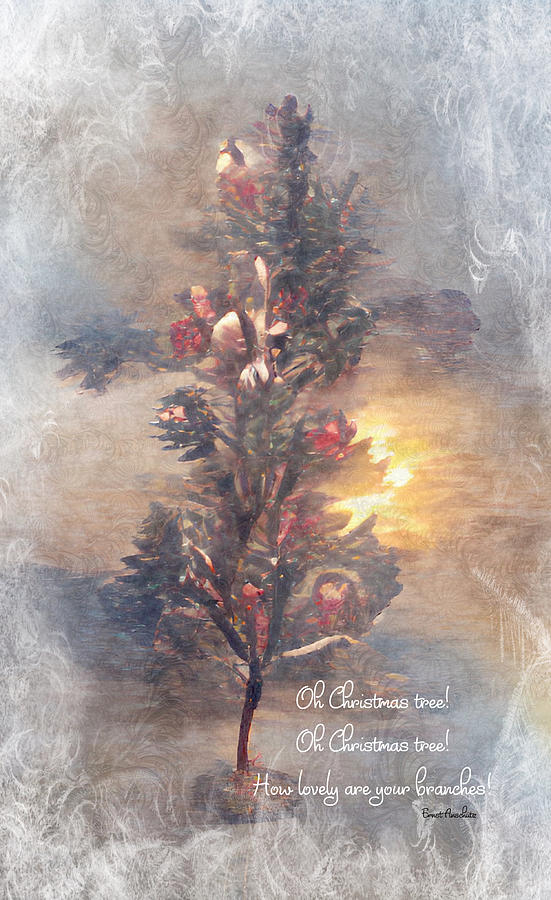O Christmas Tree Photograph by Diane Lindon Coy