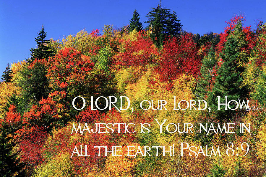 O LORD, Our Lord. How Majestic in Your Name Photograph by James C Richardson