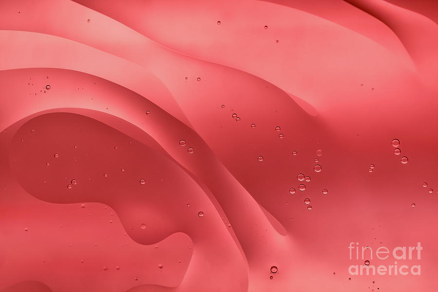 Pastel Pink Rosy Soft Colored Abstract Photograph by Nilesh Bhange