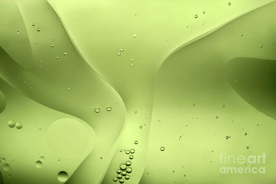 Pastel Green Soft Colored Abstract Photograph by Nilesh Bhange