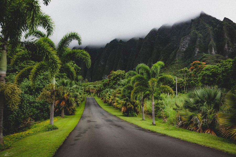 Oahu Botanical Garden Photograph by Ross van der Wal - Pixels