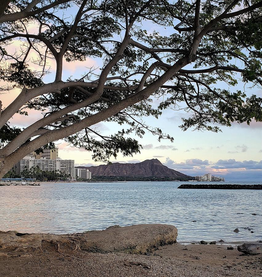 Oahu Hawaii Photograph by Lizette Tolentino
