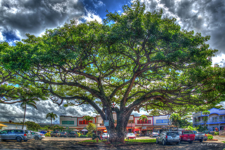 Oahu Hawaii The Tree Haleiwa Town North Shore Cityscape Art Photograph by Reid Callaway