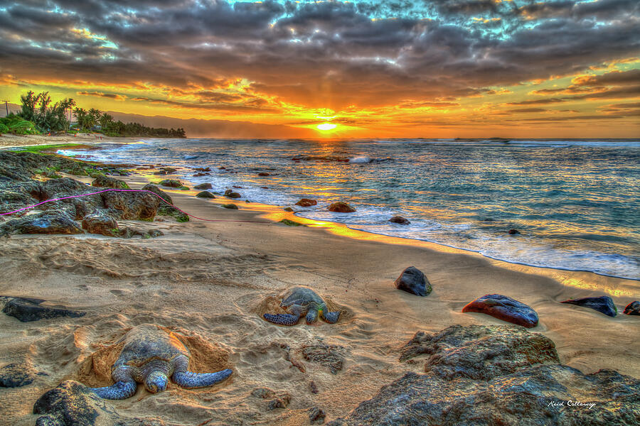 Oahu HI A Resting Place 7 Turtle Beach Sunset North Shore Wildlife Landscape Seascape Art Photograph by Reid Callaway