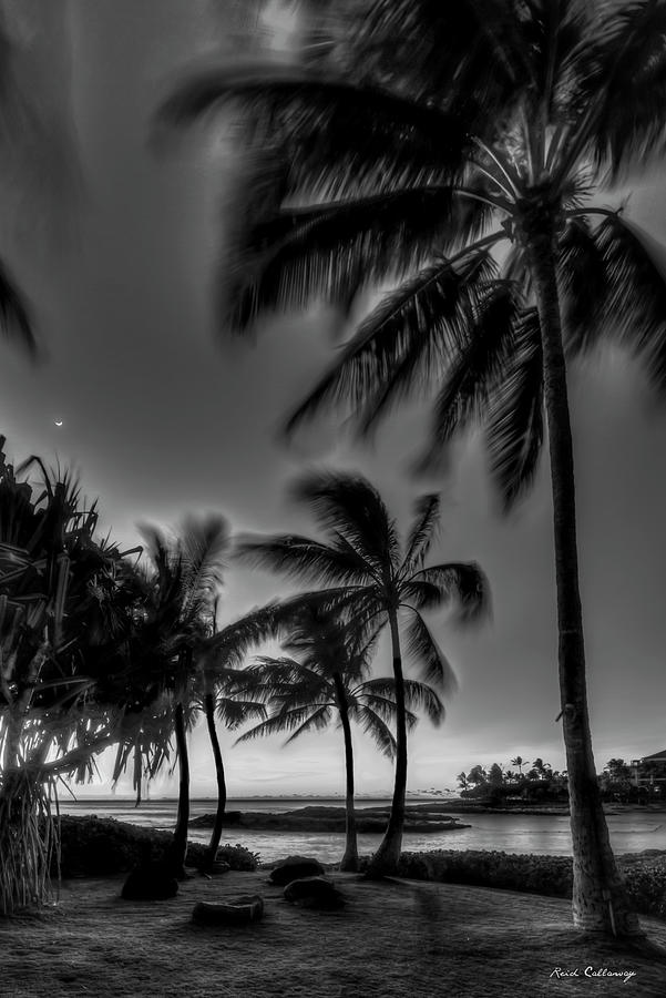 Oahu Hi Ko Olina Lagoon Pool 1 Palm Trees B W Aulani Beach Cove Seascape Art Photograph