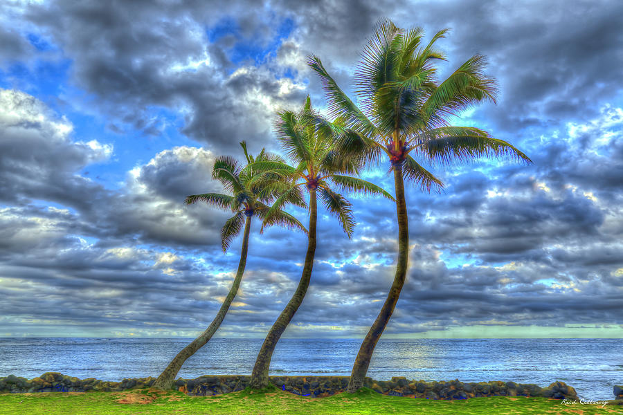Oahu HI Long Time Friends 3 Hawaiian Palm Trees Landscape Seascape Art Photograph by Reid Callaway