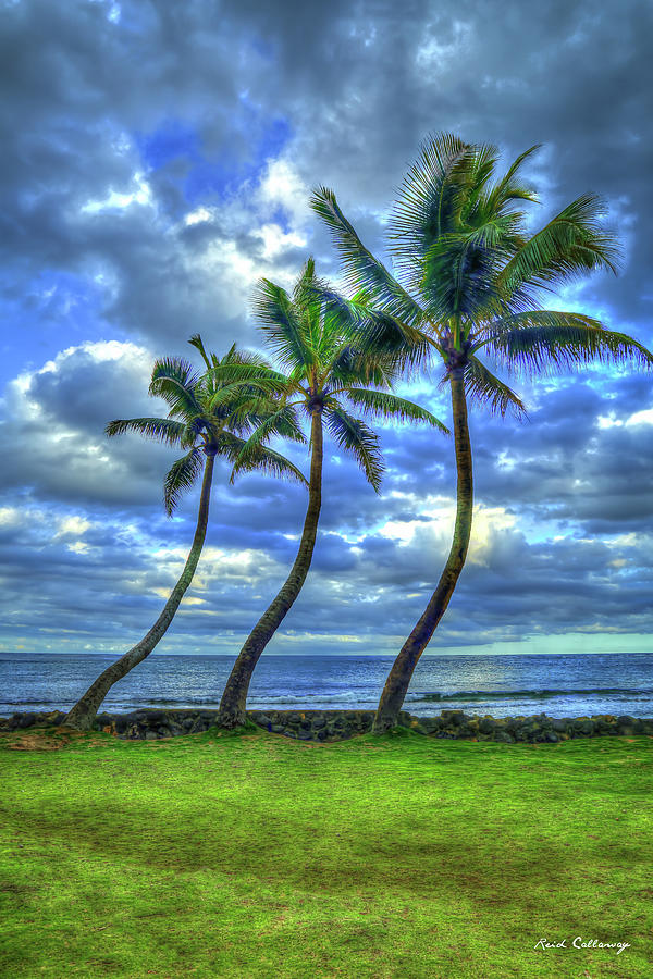 Oahu HI Long Time Friends Hawaiian Palm Trees Landscape Seascape Art Photograph by Reid Callaway