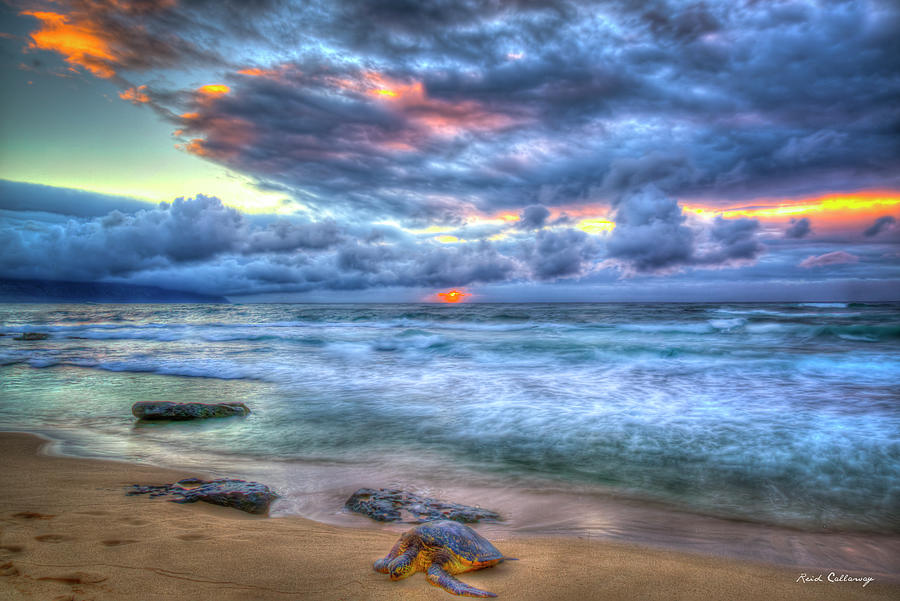 Oahu HI Sweetest Rest North Shore Honu Turtle Sunset Landscape Seascape Art Photograph by Reid Callaway