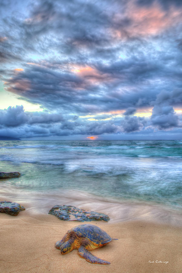 Oahu HI Sweetest Rest 2 North Shore Sea Turtle Sunset Landscape Seascape Art Photograph by Reid Callaway
