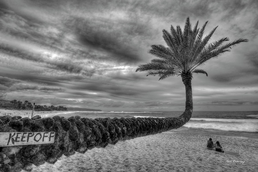 Palm Tree Images Photograph - Oahu HI The Best Hawaiian Palm Tree BW Sunset Beach North Shore Landscape Seacape Art  by Reid Callaway