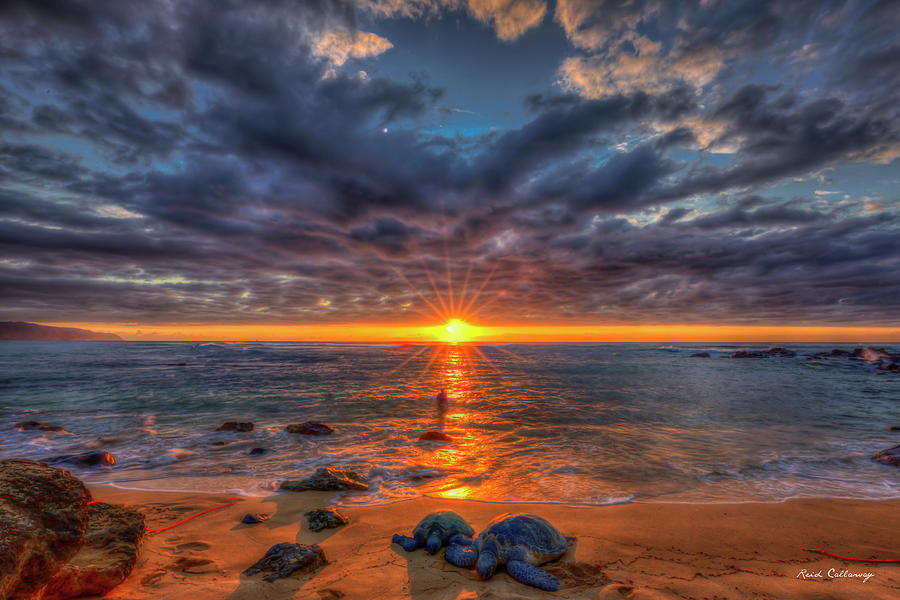 Oahu HI The Wonderful Resting Place North Shore Honu Turtle Sunset Landscape Seascape Art Photograph by Reid Callaway
