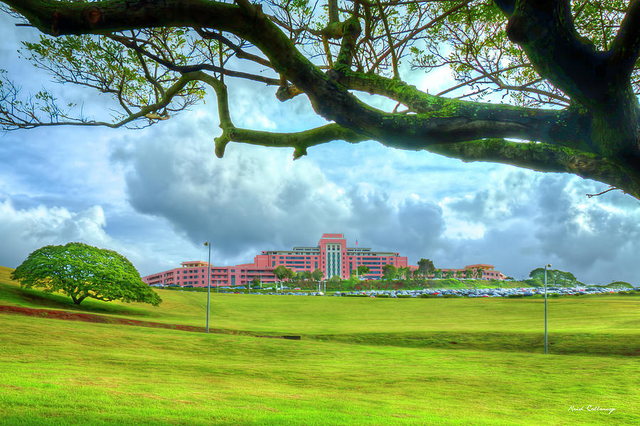 Oahu HI Tripler Army Medical Center 8 Pink Coral Hospital Architectural Art Photograph by Reid Callaway