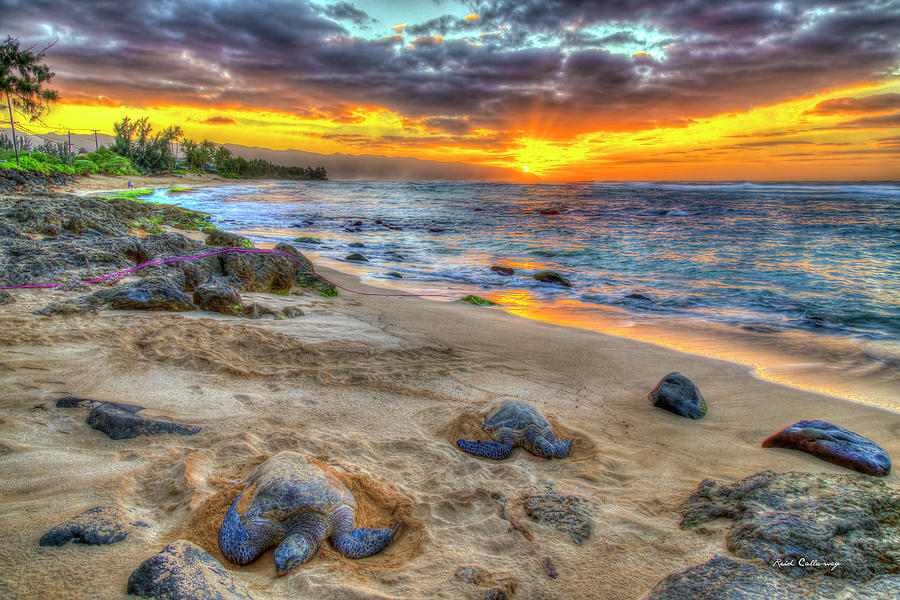 Oahu HI Turtle Beach A Resting Place Sunset North Shore Wildlife Landscape Seascape Art Photograph by Reid Callaway