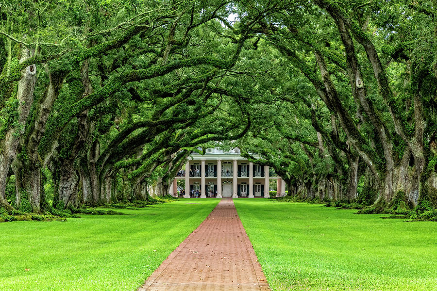 New Orleans Photograph - Oak Alley Plantation by Kay Brewer