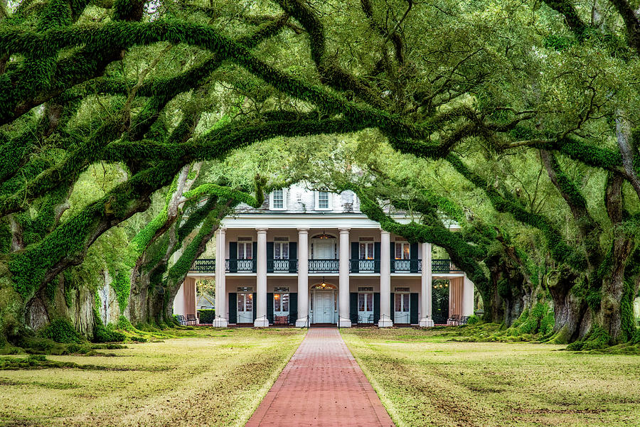 Oak Alley Plantation Photograph by Andy Crawford