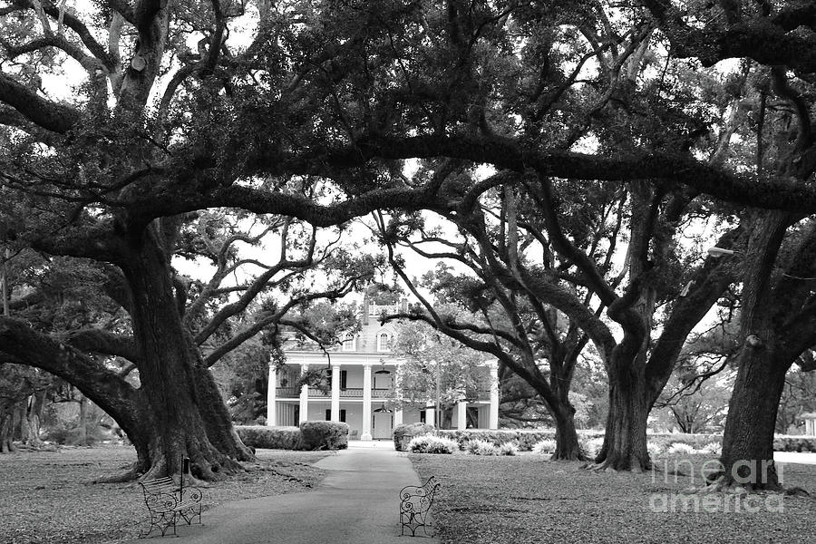 Oak Alley Plantation Mansion Photograph by Christiane Schulze Art And ...