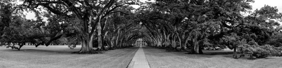 New Orleans Photograph - Oak Alley Plantation Panorama in Black and White by Kay Brewer