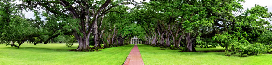 New Orleans Photograph - Oak Alley Plantation Panorama by Kay Brewer