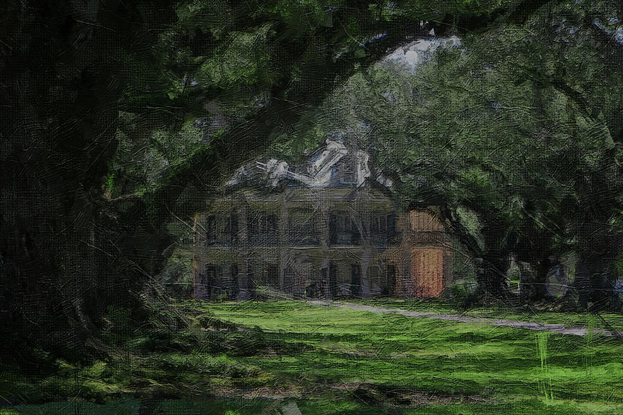 Oak Ally Plantation  Digital Art by Amy Curtis