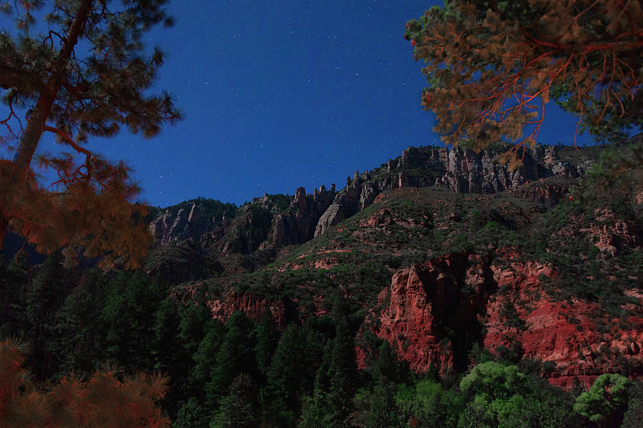 Oak Creek Canyon by Moonlight Photograph by Laura Tucker