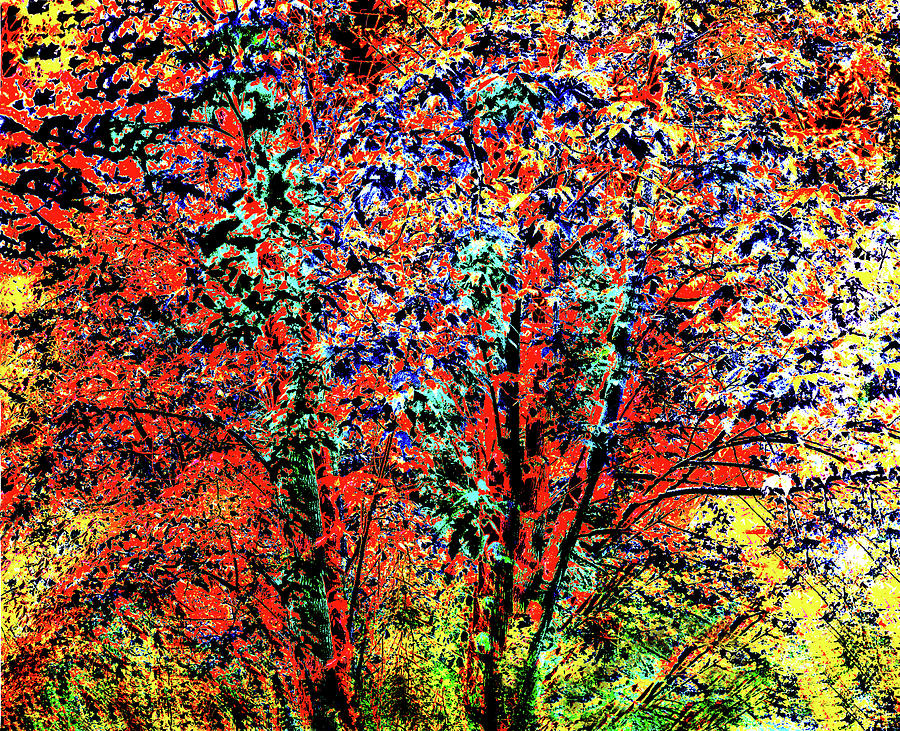 Sedona Digital Art - Oak Creek Canyon Fall Tree by Joe Hoover