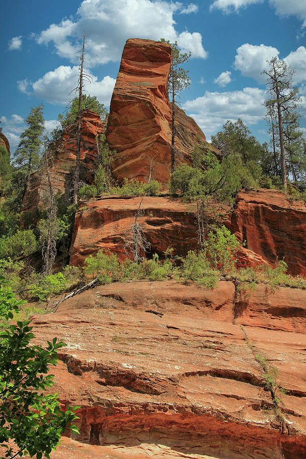 Oak Creek Canyon Trail Sedona Arizona Photograph By Terry Mccollum 1689