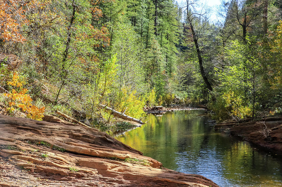Oak Creek in the Fall, Sedona Photograph by Dawn Richards