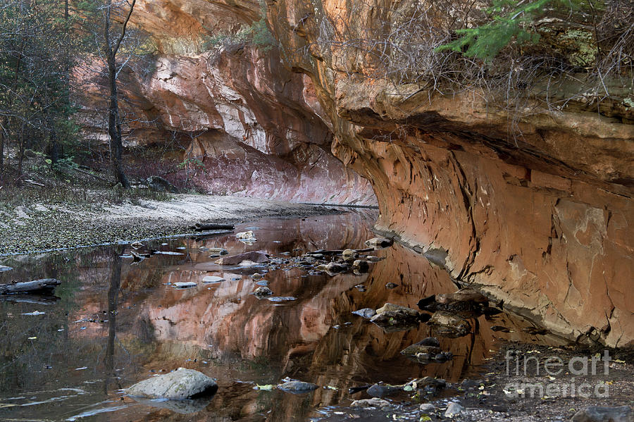 Oak Creek Reflections - Sedona, AZ Photograph by Sandra Bronstein
